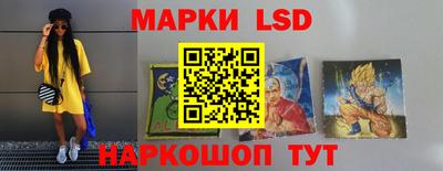 шишки Аргун