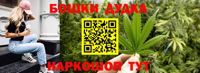 шишки Аргун