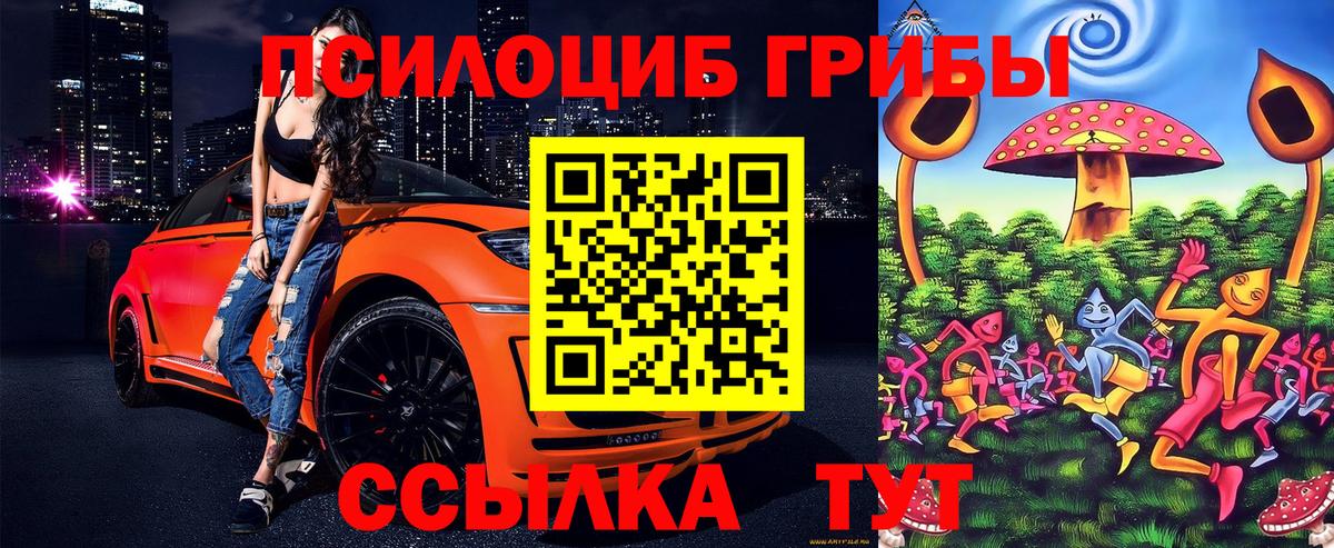 Псилоцибиновые грибы Cubensis Бахчисарай